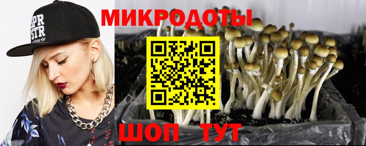 Кушва  Галлюциногенные грибы Psilocybe  Вход с VPN 