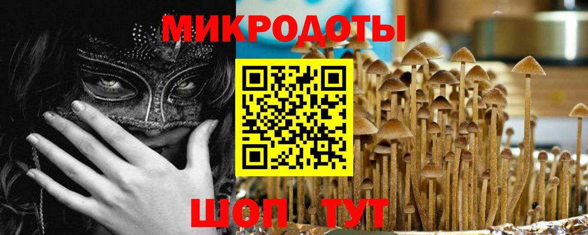 Псилоцибиновые грибы прущие грибы Кушва